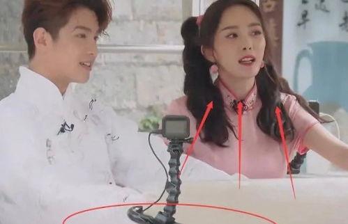 娱乐小花爆料视频,揭秘娱乐圈幕后真相  第2张