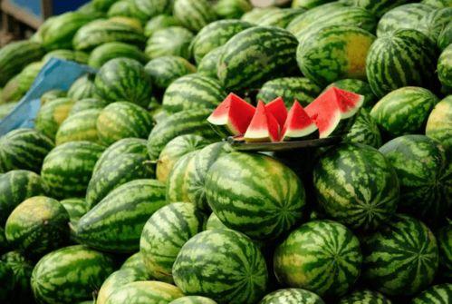 网红吃瓜都有哪些名字,揭秘网络红人的“瓜田”昵称  第3张